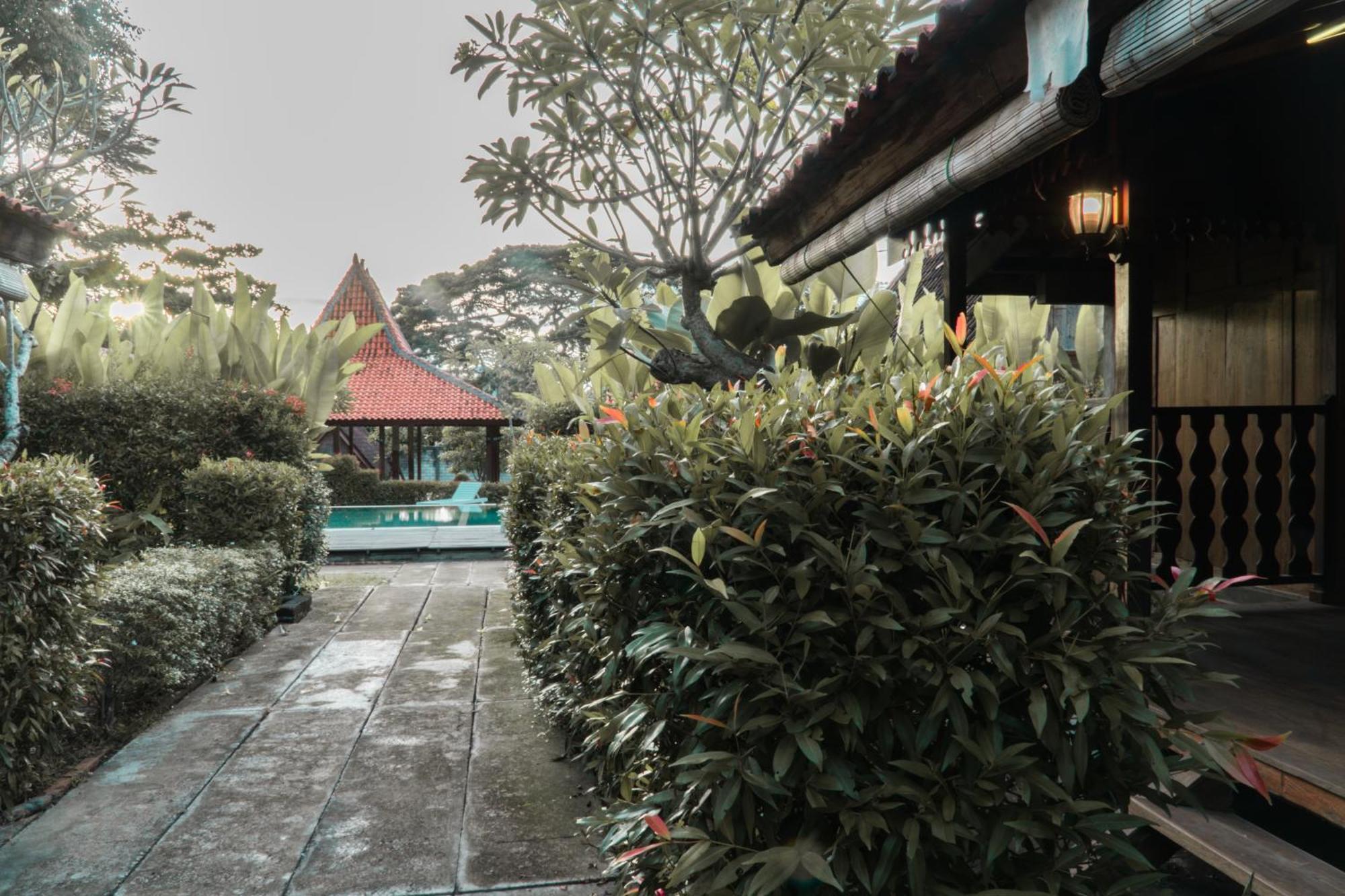 Bali Desa Asri Seminyak (Bali)